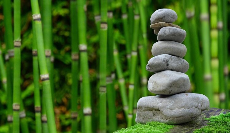 How to Master Your Finances: Understanding the Balanced Money Formula