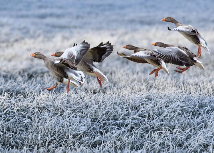 How to Master the Best Minimalist Budgeting Approach for Financial Freedom