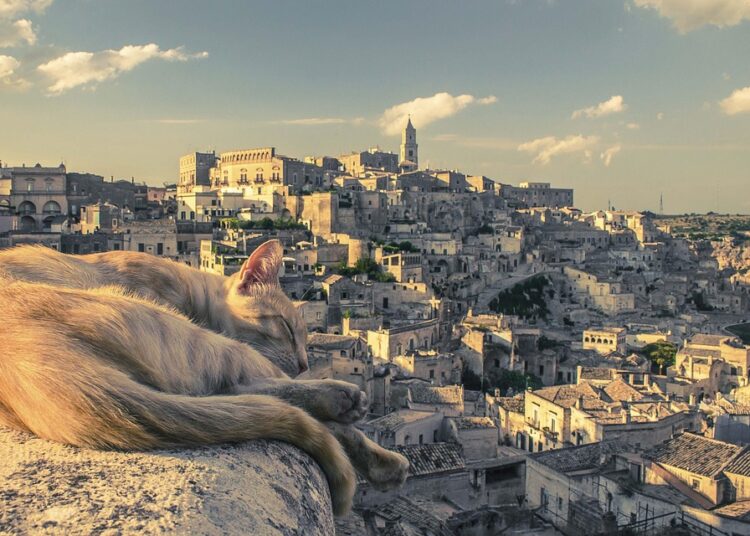 How to Maximize Your Earnings: Understanding What a Checking Account Bonus Is