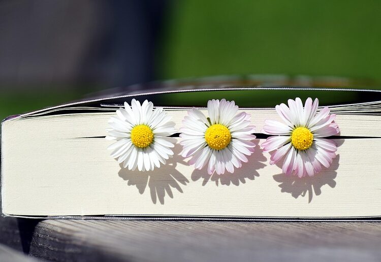 How to Read a Stock Chart for Beginners: Your Ultimate Step-by-Step Guide