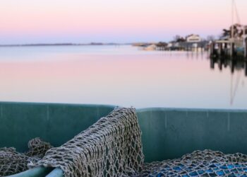 How to Track Your Net Worth: A Step-by-Step Guide to Achieving Early Retirement