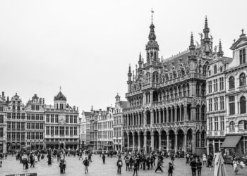 How to Understand Market Capitalization: A Beginner’s Guide to Investment Basics