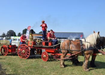 The Rise of Financial Independence: What is the History of the FIRE Movement?