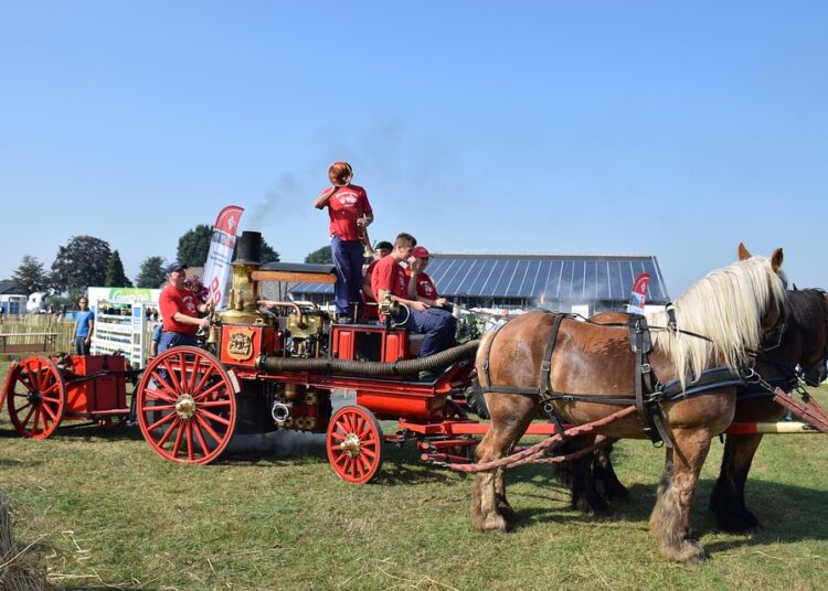 The Rise of Financial Independence: What is the History of the FIRE Movement?