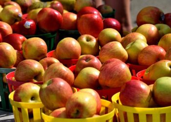 The Ultimate Guide: How to Sell an ETF Successfully in Today’s Market