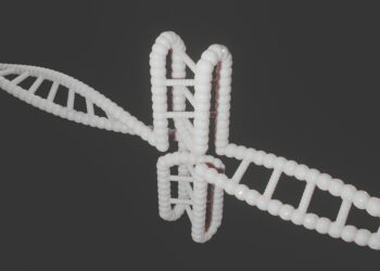 The Ultimate How-To Guide: Transitioning from the E and S Quadrants to the B and I Quadrants