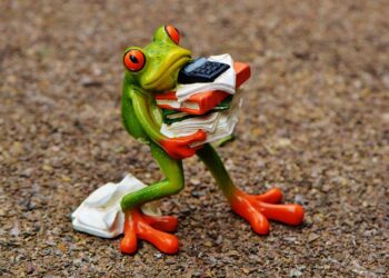 Top 5 Emergency Fund Calculators You Need to Start Saving Now