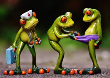 Top 7 Accounts for Building Your Emergency Fund: Which One is Right for You?