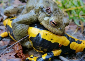 Top 7 Common FIRE Mistakes: How to Avoid Financial Pitfalls on Your Path to Early Retirement