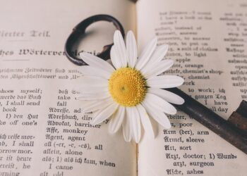 Understanding Crypto Basics: What is a Private Key vs a Public Key? A Complete Guide