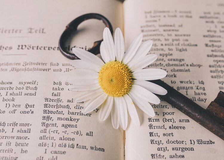 Understanding Crypto Basics: What is a Private Key vs a Public Key? A Complete Guide