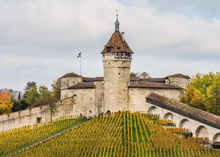 What Are Defensive Stocks Targeting? A Comprehensive Guide for Savvy Investors