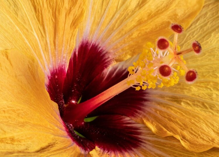 What Are Your Rights with Debt Collectors? A Comprehensive How-To Guide