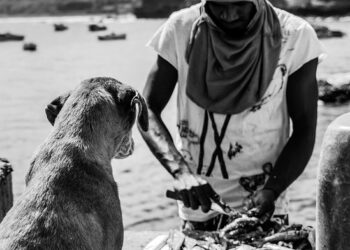 What Happens If You Default on a Loan? A Comprehensive How-To Guide for Borrowers