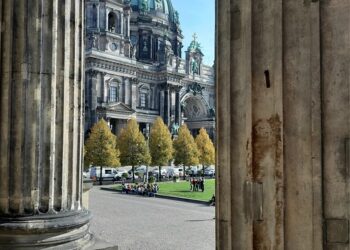 What Is a Capital Gain? A Comprehensive Guide for New Investors