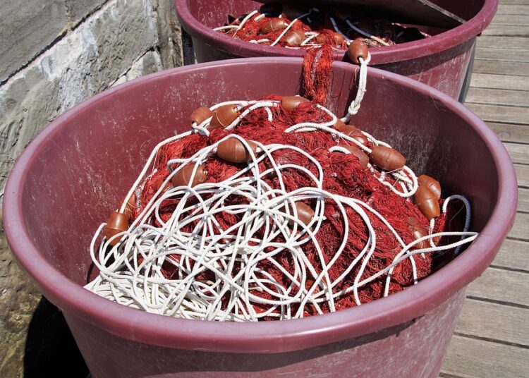 What Is a Millionaire’s Net Worth Composed Of? A Deep Dive into the Assets That Build Wealth What Is a Millionaire’s Net Worth Composed Of? A Deep Dive into the Assets That Build Wealth