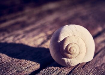 What Is a Money Comfort Zone? Understanding Your Financial Boundaries for Better Wealth Management