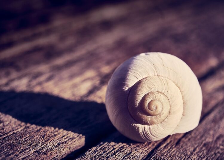 What Is a Money Comfort Zone? Understanding Your Financial Boundaries for Better Wealth Management What Is a Money Comfort Zone? Understanding Your Financial Boundaries for Better Wealth Management