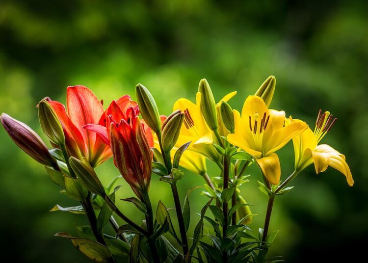 What Is a Target-Date Fund? A Comprehensive Guide for New Investors