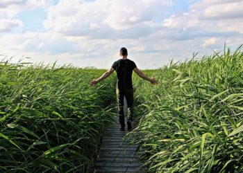 What is a Robo-Advisor? A Comprehensive Guide for High Net Worth Individuals Seeking Smarter Investing Solutions