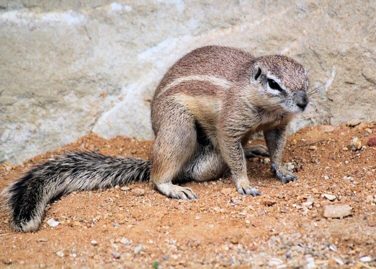 Why Is It Called an Emergency Fund? Unpacking the Importance of Financial Safety Nets