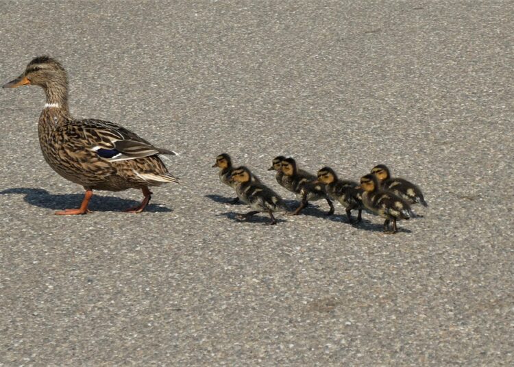 10 Compelling Reasons to Embrace Zero-Based Budgeting for Financial Success