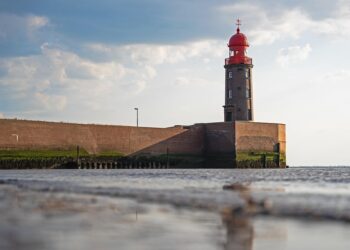 10 Essential Steps for Beginners to Build Lasting Wealth