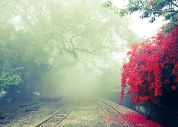 10 Essential Steps to Financial Independence: How to Break Free from Limiting Beliefs