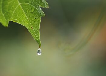 10 Essential Tips for Crafting Your Personal Balance Sheet: Achieve Financial Clarity Today!