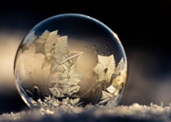 10 Essential Tips on How to Do a Spending Freeze and Save Big!