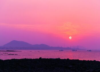 10 Essential Tips on How to Learn About Investing Like a Pro