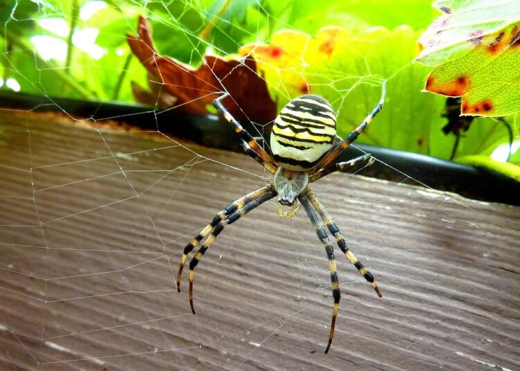 10 Income-Generating Assets You Need to Know About to Achieve Financial Freedom