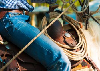 10 Key Benefits of Using the Debt Lasso Method for Debt Relief