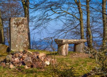 10 Key Benefits of a Roth 401k You Can’t Afford to Ignore