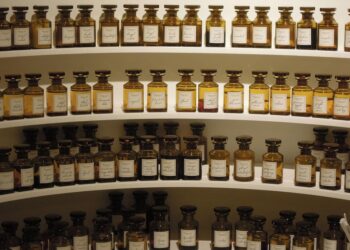 10 Key Differences Between Fat FIRE and Lean FIRE: Which Path Will You Choose?