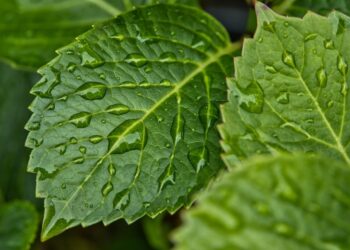 10 Must-Have Free Budget Spreadsheet Templates for Every Financial Need