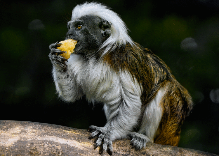 10 Must-Visit Crypto News Websites for 2023: Stay Updated and Informed!