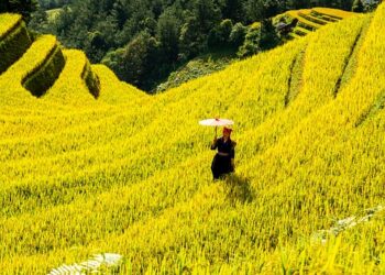 10 Proven Steps to Improve Your Credit Score and Unlock Financial Freedom