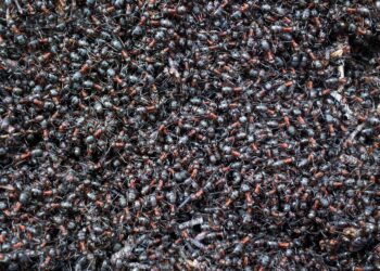 10 Reasons Why Creating a Budget Could Be the Best Decision You’ll Ever Make