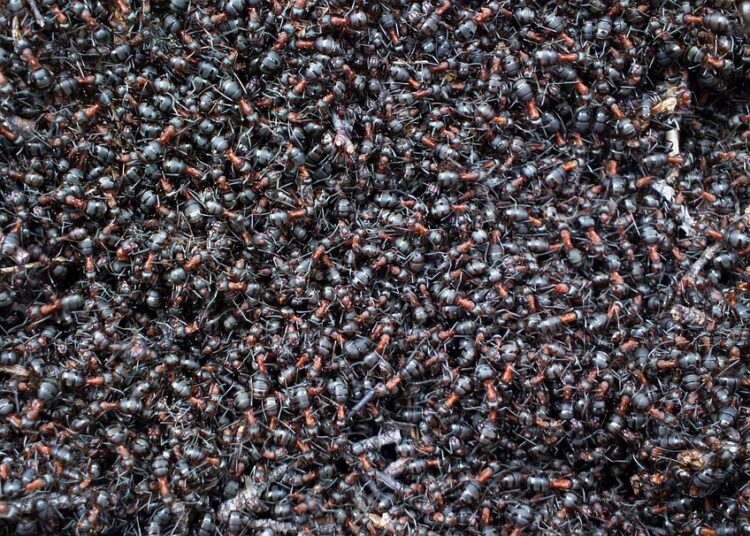 10 Reasons Why Creating a Budget Could Be the Best Decision You’ll Ever Make