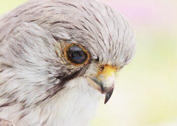 10 Reasons Why Saving Targeting is Crucial for Your Financial Success