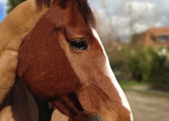 “10 Signs Your Net Worth is Where It Should Be: Are You on Track?”