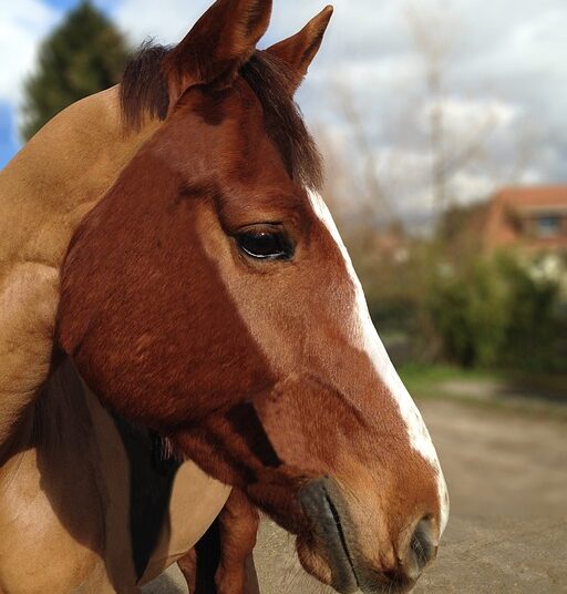 “10 Signs Your Net Worth is Where It Should Be: Are You on Track?”