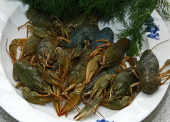 10 Surprising Tips on How to Live Frugally in an Expensive City Without Sacrificing Quality