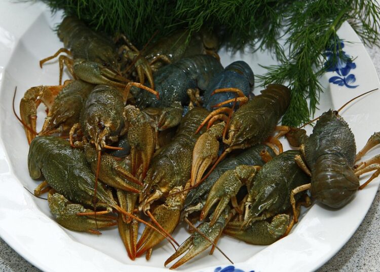 10 Surprising Tips on How to Live Frugally in an Expensive City Without Sacrificing Quality 10 Surprising Tips on How to Live Frugally in an Expensive City Without Sacrificing Quality