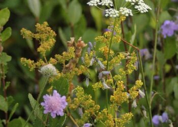 5 Essential Benefits of Investing in ETFs: What You Need to Know