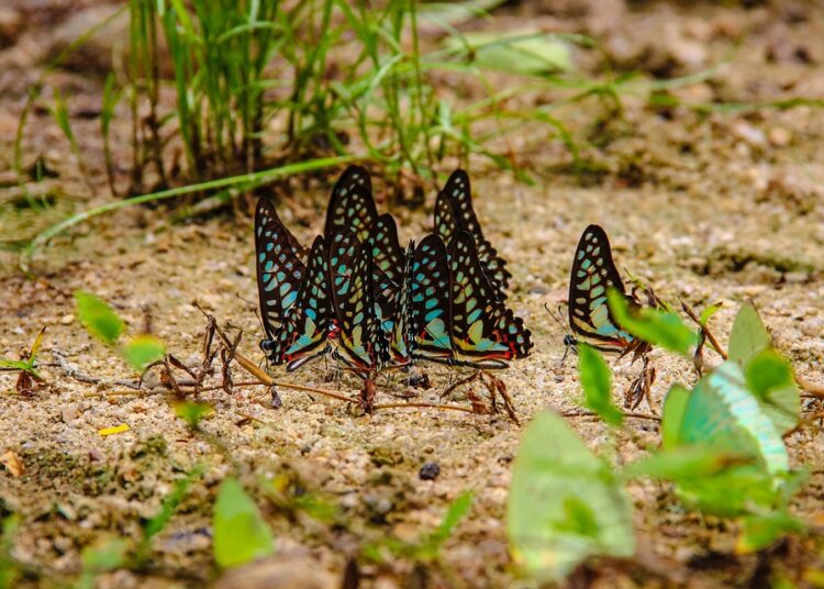 5 Essential Benefits of Knowing What a Credit Report Is and How It Affects You