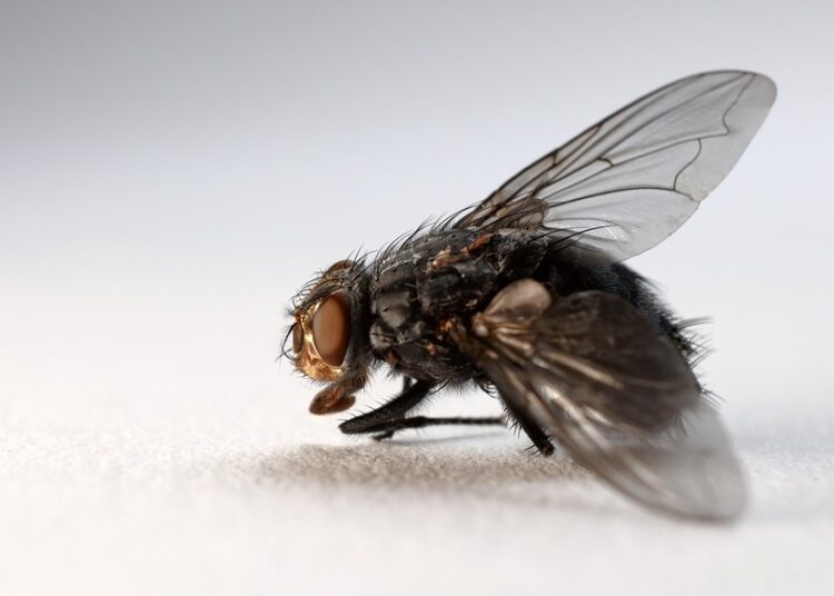 5 Key Benefits of Understanding Compound Interest and How It Affects Your Money