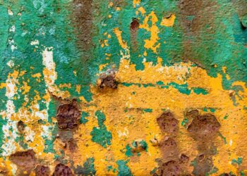 5 Key Differences Between Assets and Liabilities You Need to Know