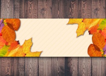 5 Key Differences Between Emergency Funds and Sinking Funds You Need to Know